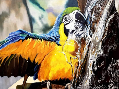 Papagáj 60x80, olaj, vászon